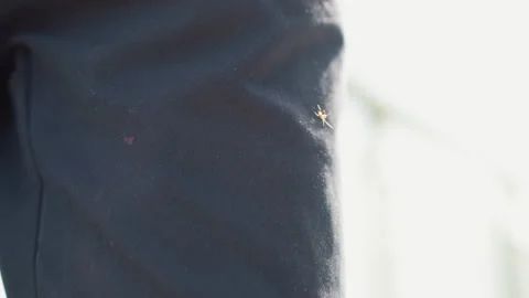 Fabric rain pattern, Closeup of rainy textile, Detailed view of wet fabric after Stock Footage 329453914