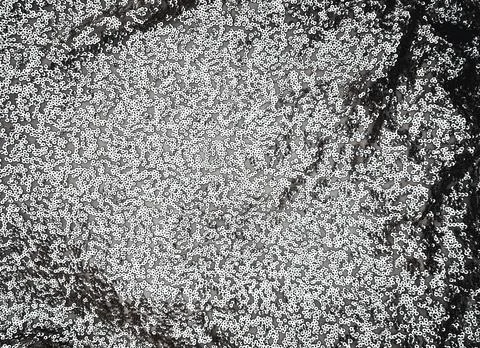 Fabric Silver texture with spangles. Background sequin. Glitter texture. Fabr Stock Photos