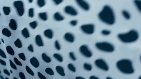 Fabric with a spotted leopard pattern flutters in the wind. Closeup. Macro Stock Footage 297795939