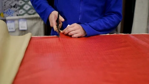 In the fabric store a large selection of fabrics, you can cut a piece and buy, Stock Footage 123409003