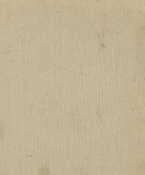 Fabric texture 스톡 일러스트