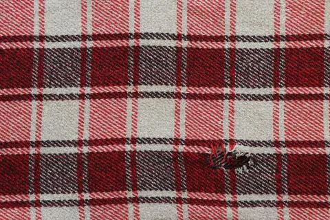 Fabric texture. 写真素材