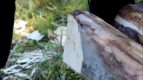 Fabrication of the beam for the rim board, to which the floor is planned with Stock Footage 77365083