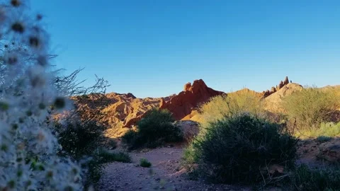 A fabulous canyon in Central Asia.  Stock Footage 260411925