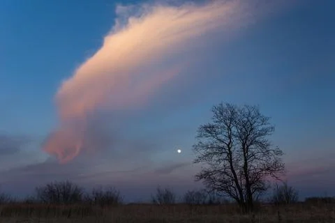A fabulous evening cloud, a tree without leaves and the moon Stock Photos