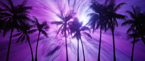 Fabulous Palm beach retro synth starry night with neon aurora sky Video stock 157736150