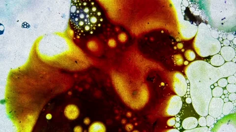 Fabulous  Patterns 스톡 동영상 51685794