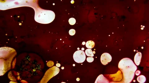 Fabulous Patterns 스톡 동영상 52512608