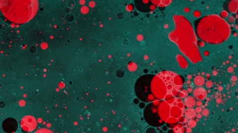 Fabulous  Patterns Stock Footage 55490537