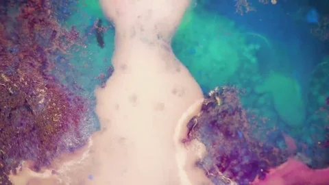 Fabulous Patterns Stock Footage 69184084