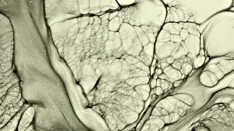 Fabulous Patterns Stock Footage 122376582