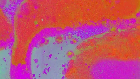 Fabulous Patterns.curlicue of Paints Видео 69215137