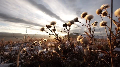 Fabulous sunset on the mountain Stock Footage 124803714