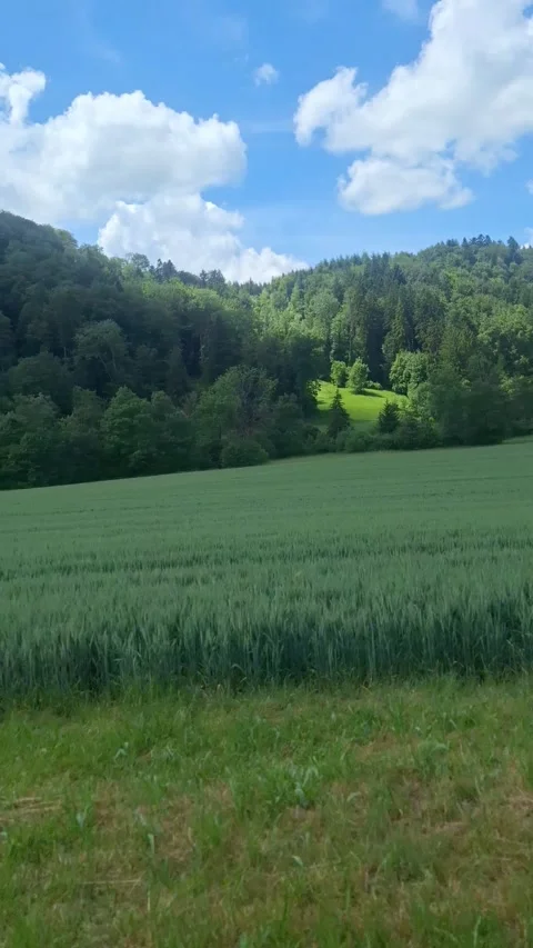 Fabulous Swiss fields and mountains from the road. Stock Footage 337332356