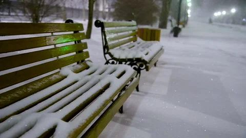 Fabulous view of the snow-covered city park at night, with trees in the sno.. Stock Footage 321611953