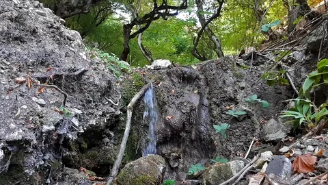 Fabulous water source Stockbeeldmateriaal 81239115