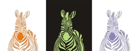 Fabulous zebra Illustrazione stock