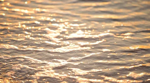 Fabulously shaped wave breaking on a beach at sunrise Stock Footage 56249739