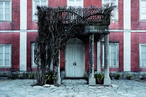 Facade of an abandoned building with a tree without a leaf without leaves at  Fotos de archivo