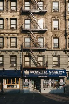 Facade of a block of flat with pet store in Harlem, NYC. Stock Photos