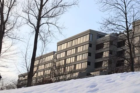 A facade of building et the reflection of windows Stock Photos