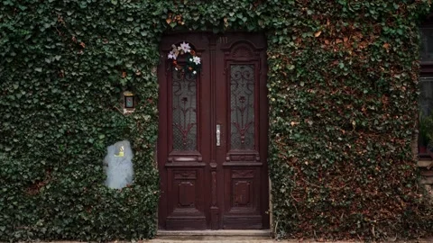 The facade of a building overgrown with creeper. An old wooden door. Prague Stock Footage 264669249