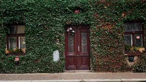 The facade of a building overgrown with creeper. An old wooden door. Prague Video stock 264672667