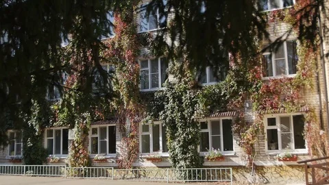 Facade of the Building is Overgrown with Ivy Stock Footage 101434647