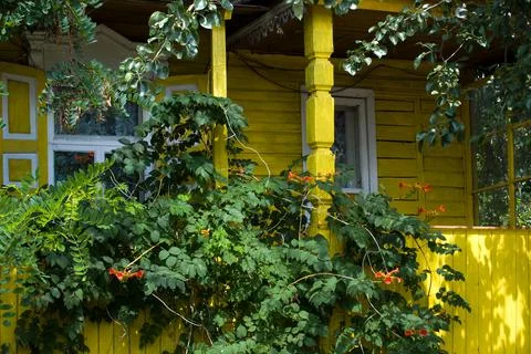 Facade of the Cossack house Stock Photos