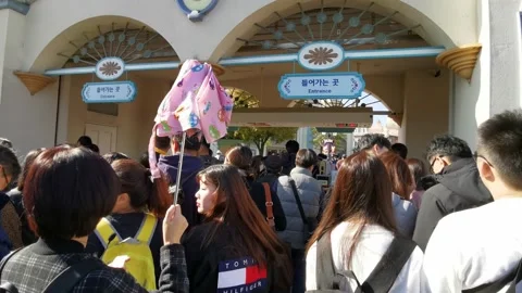 Facade of Everland Amusement Park Stock Footage 146463847