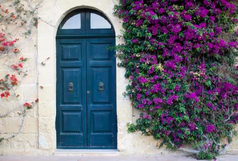 Facade with flowers Stock Photos