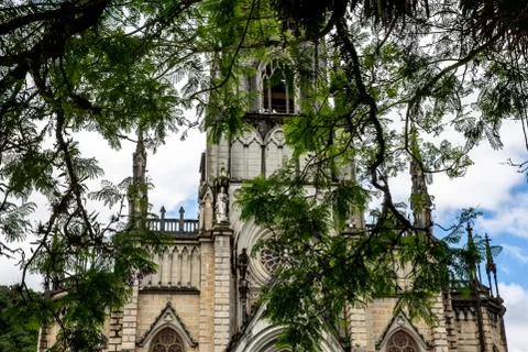 Facade of a gothic cathedral in a frame of trees. Stock Photos