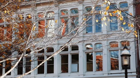 Facade of a modern building with large windows in autumn Video stock 298267292