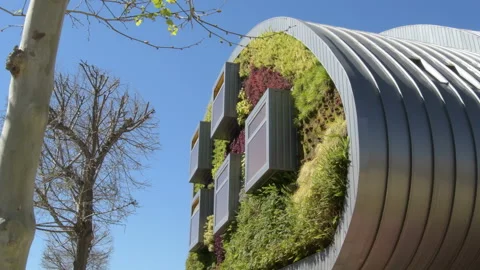 Facade of modern building with windows and vegetation walls. Green environment Video stock 104844488