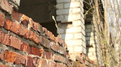 Facade of an old building with no windows on the background of plants 库存影片 57322751