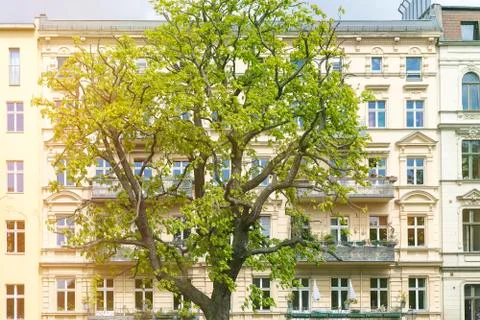 Facade of an old house with a tree in front Stock Photos