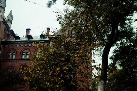 Facade of an old red bricked cathedral in Lviv, Ukraine covered by autumn leaves Stock Photos