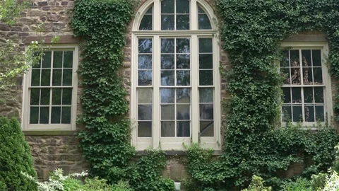 The facade of an old stone house Video stock 142729973