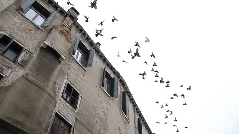 Facade of a residential building with old Windows and blinds in Italy. Stock Footage 129783034