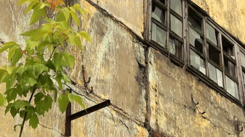 Facade of the ruined building 库存影片 39844691