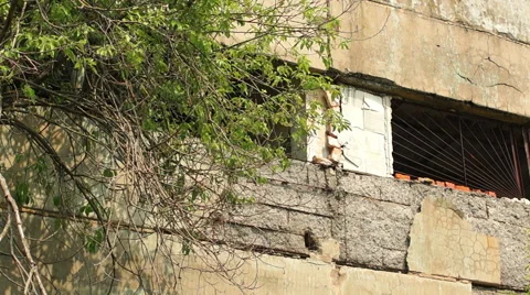 Facade of the ruined building Видео 57324702