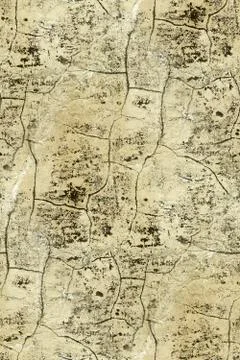 Facade as Seamless Texture Stock Photos