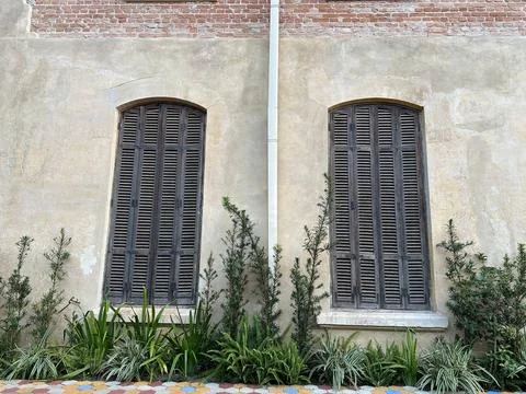 Facade with windows and vegetation Stock Photos