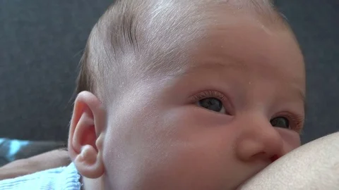 Face of baby nursing  Stock Footage 70682554
