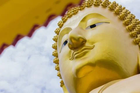 The face Buddha Foto stock