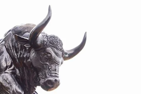 Face Bull Stock Photos