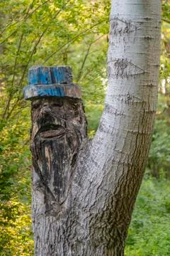 Face carved into the trunk of a tree Foto stock