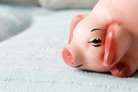 Face of a clay pig Stock Photos