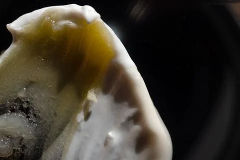 Face cream on a dark background Stock Photos