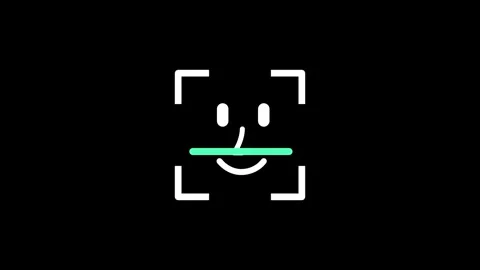 Face Detection Stock Footage 335609594